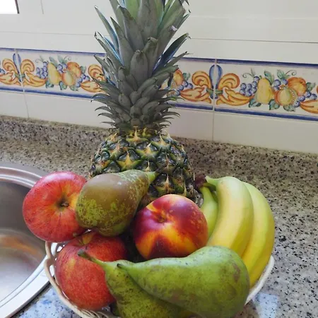 Paradise - Girasoles Nerja